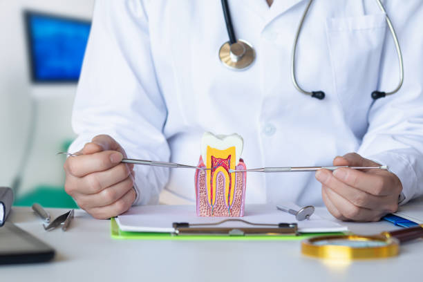 Best Emergency Tooth Extraction in Centreville, MD